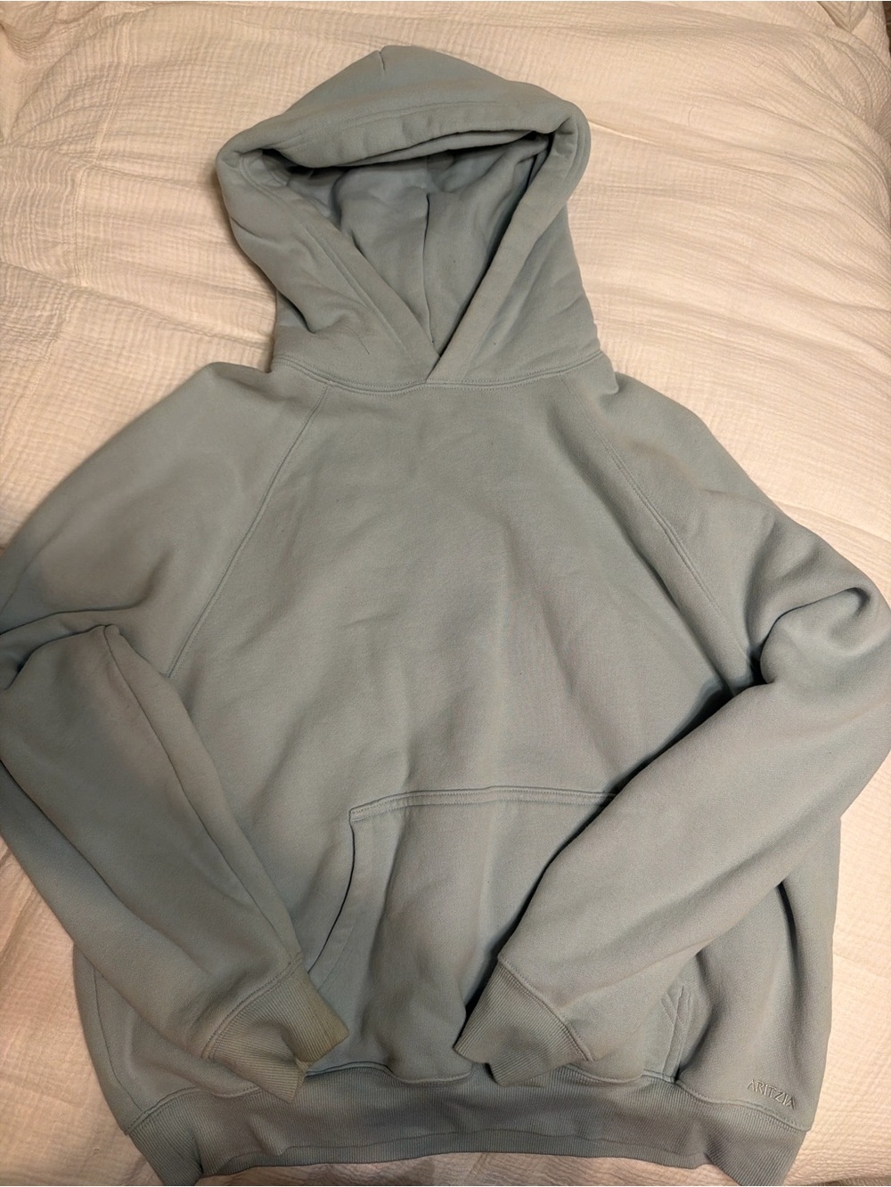 ARITZIA Mega Fit Hoodie In aquamarine green (it is lighter in real life)